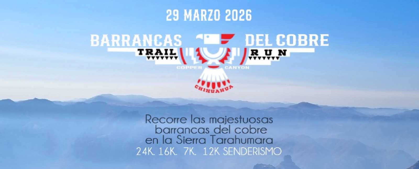 Copper Canyon Chihuahua